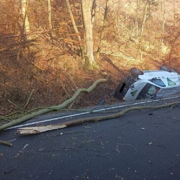 Polizeirevier Harz: Aktuelle Polizeimeldungen