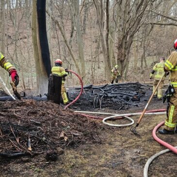 Feuerwehr im Einsatz: Brand von Totholz – Zeugenaufruf der Polizei