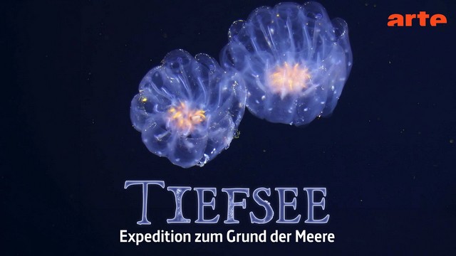 Dokumentarfilm: Faszination Tiefsee – Expedition zum Grund der Meere (Arte  20:15 – 21:40 Uhr)
