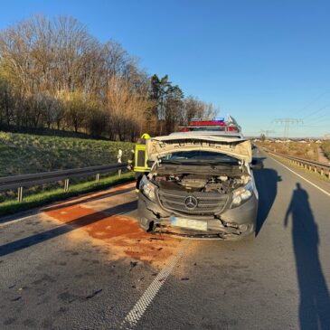 Polizeirevier Harz: Aktuelle Polizeimeldungen
