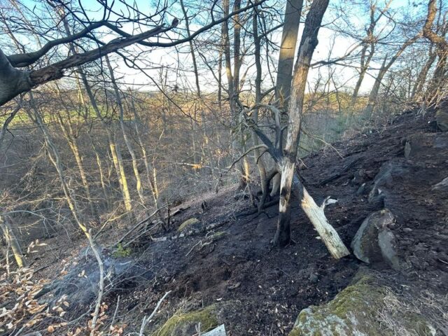 Polizeirevier Harz: Aktuelle Polizeimeldungen