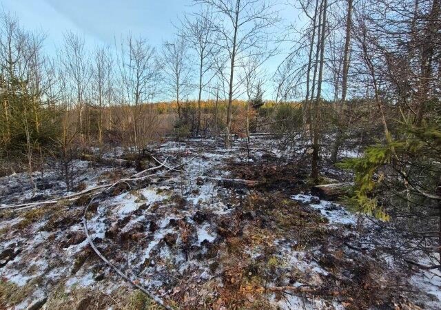 Feuerwehr im Einsatz: Verdacht der Brandstiftung