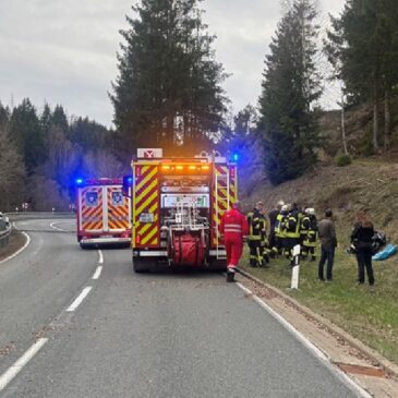 Polizeirevier Harz: Aktuelle Polizeimeldungen