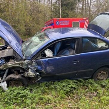 Polizeirevier Harz: Aktuelle Polizeimeldungen