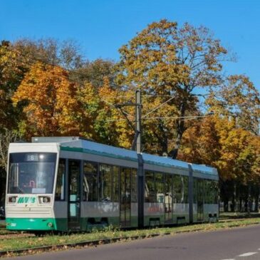 Am Sonntag: Zeitweise keine Straßenbahnen zum Herrenkrug