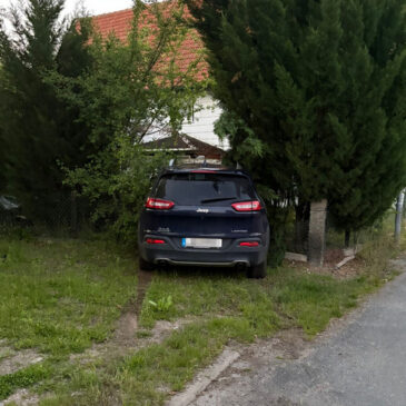 Polizeirevier Harz: Aktuelle Polizeimeldungen