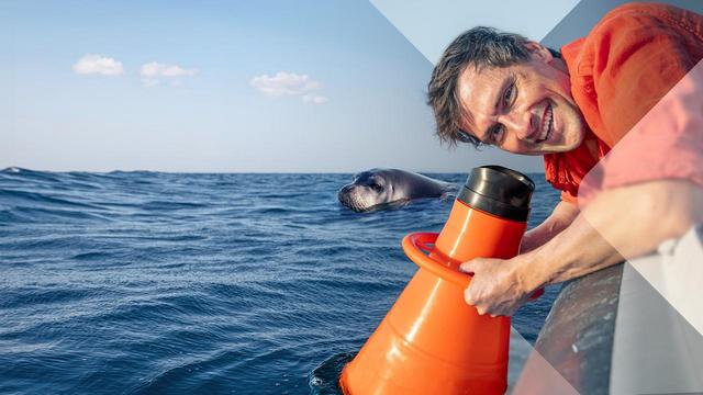 Terra X: Faszination Wasser / Unser Mittelmeer – Was lebt unter der Oberfläche? (ZDF 19:30 – 20:15 Uhr)