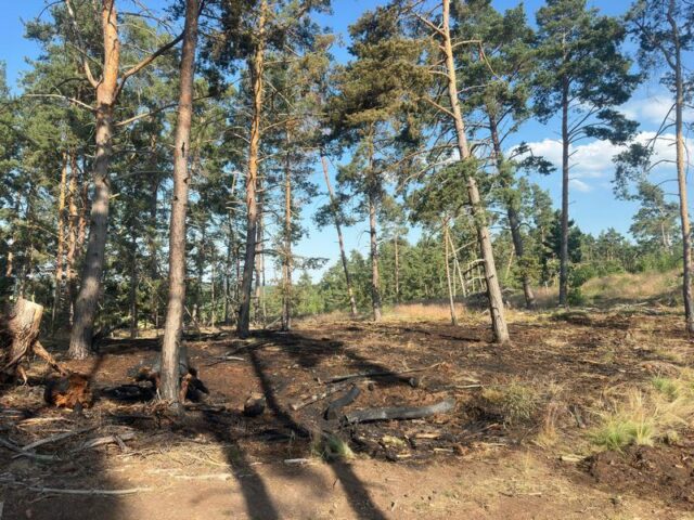 Polizeirevier Harz: Aktuelle Polizeimeldungen