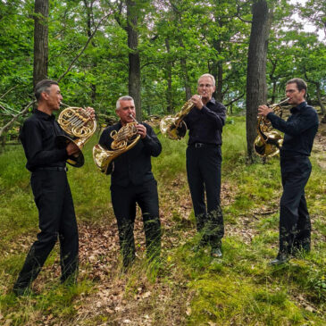 Vorfreude auf großes Ferienfinale: 35. MDR-Musiksommer lädt sein Publikum zum „Musik-Waldbaden“ ein