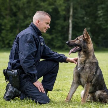 Jahresbilanz Diensthundwesen 2025: Rund 1.900 Einsätze für Diensthunde der Landespolizei