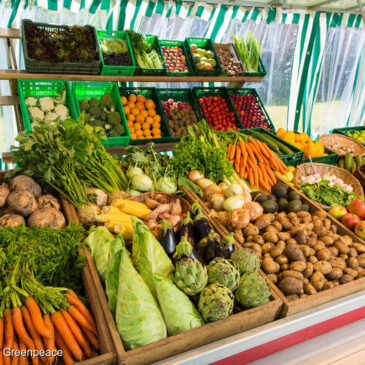 VdK, vzbv und Greenpeace fordern: Weniger Mehrwertsteuer auf Obst und Gemüse für Klimaschutz und Gesundheit