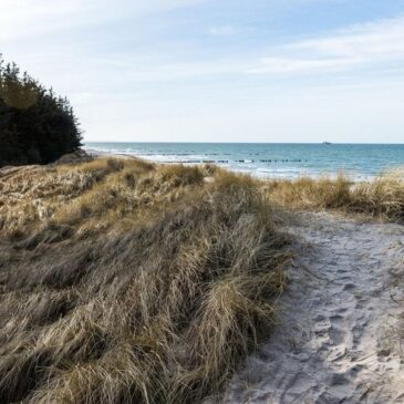 Ungestört das Meer genießen: Ein Winterurlaub an der Ostseeküste hat viele Vorzüge