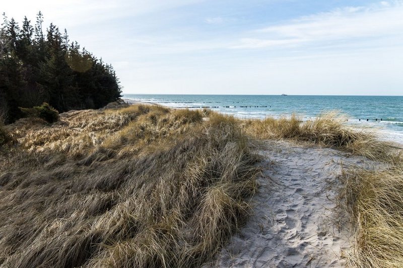 Ungestört das Meer genießen: Ein Winterurlaub an der Ostseeküste hat viele Vorzüge