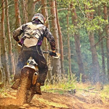 Möckern / Riesdorf: Motocross-Maschinen im Wald unterwegs