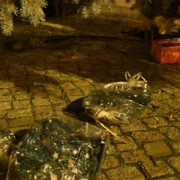 Tangermünde / Marktplatz: Weihnachtsbaum und –schmuck beschädigt