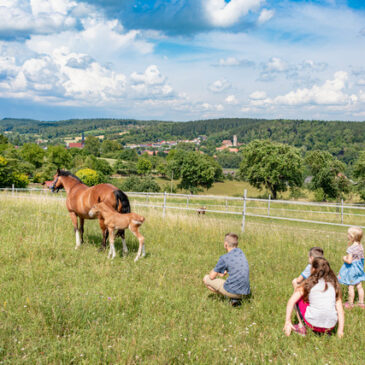 Ein Bauernhofurlaub im Odenwald mit der Familie ist nachhaltig und erlebnisreich