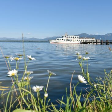 FRÜHLINGSERWACHEN AM BAYERISCHEN MEER / Aktiv die Natur entdecken im blütenreichen Chiemsee-Alpenland