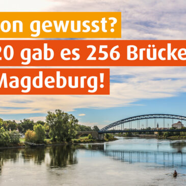 Statistisches Jahrbuch 2021 für Magdeburg veröffentlicht