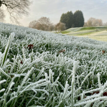 März neuer König des Bodenfrosts – Mehr Eiskratzen im Frühling?