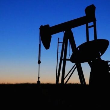SANKTIONEN GEGEN RUSSLAND: „Teile der deutschen Industrie würden das Öl-Embargo nicht überleben“