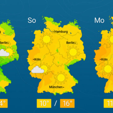 Kein Regen und viel Sonne – Waldbrandgefahr nimmt zu