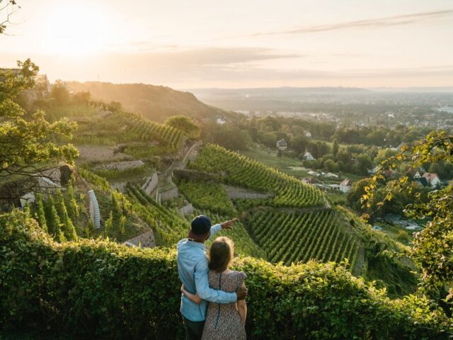 Sächsische Weinstraße: Geheimtipp und Paradies für Genießer