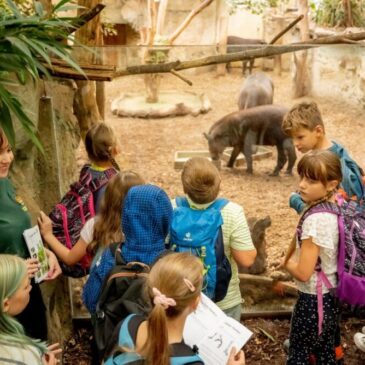 Ab heute kostet ein Zoobesuch in Magdeburg zwei Euro mehr