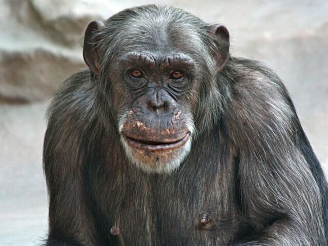 Ausflugstipp: Ostermontag in den Magdeburger Zoo