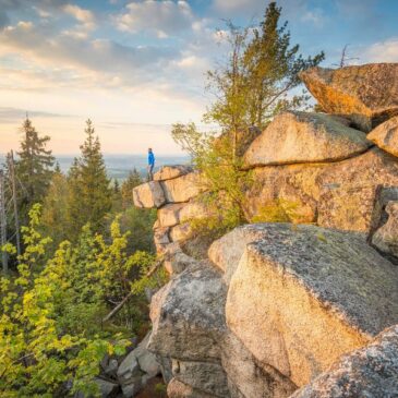 Im bayerischen Steinwald die Seele baumeln lassen