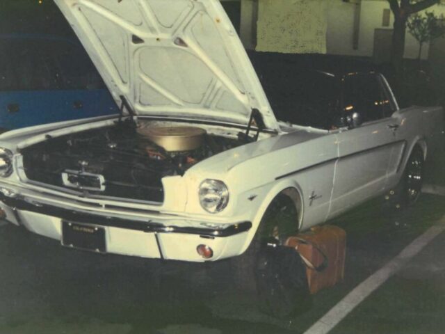 Ford Mustang in Halberstadt entwendet