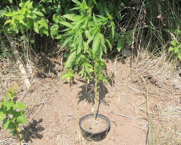 Polizeirevier Bördekreis: Aktuelle Polizeimeldungen