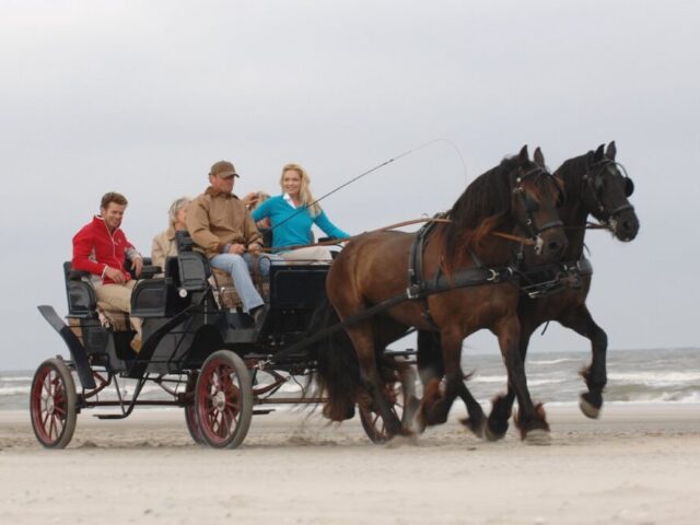 Mehr als Kutschen und Räder: klimaschonende Mobilität auf den Ostfriesischen Inseln