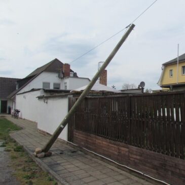 Hausbesitzer verbrennt Unkraut – Telefonmast kippt um