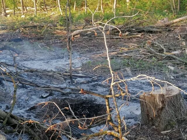 Polizeirevier Bördekreis: Aktuelle Polizeimeldungen (Kriminalitätslage)