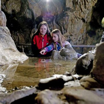 Von Höhlenabenteuern bis Plüschtierwelten: Bei einem Familienurlaub in Giengen an der Brenz gibt es viel zu erleben