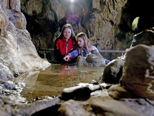 Von Höhlenabenteuern bis Plüschtierwelten: Bei einem Familienurlaub in Giengen an der Brenz gibt es viel zu erleben