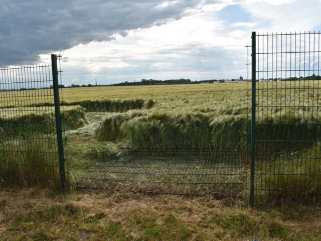 Polizeirevier Börde: Aktuelle Polizeimeldungen