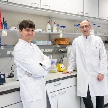 Magdeburger Krebsforscher finden neuen Angriffspunkt gegen aggressiven Blutkrebs