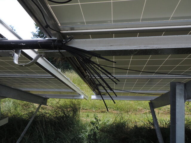 Polizeirevier Börde: Aktuelle Polizeimeldungen