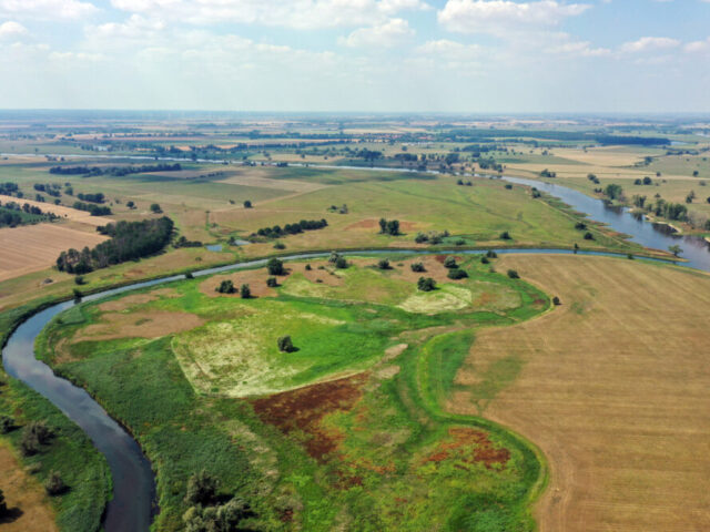 Lebendige Flussauen sichern biologische Vielfalt