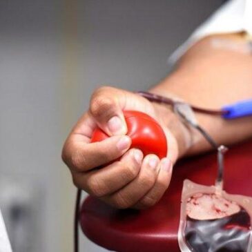 Paul-Ehrlich-Institut: Blut rettet Leben – heute ist Weltblutspendetag