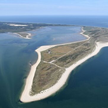 Majestätische Natur und weite Ausblicke: Königshafen und Ellenbogen als beliebte Ausflugsziele im Sylter Norden