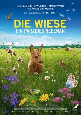 Dokumentarfilm: Die Wiese – Ein Paradies nebenan (Arte  20:15 – 21:45 Uhr)