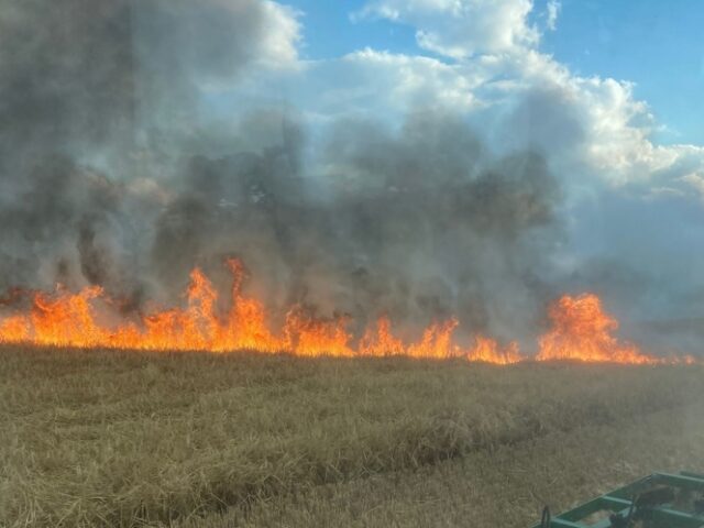 Getreide brennt bei Erxleben