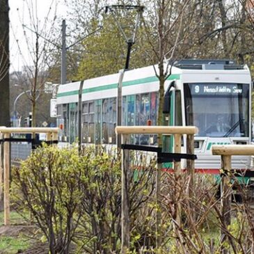 Grünschnittarbeiten an der Straßenbahn-wendeschleife Neustädter See