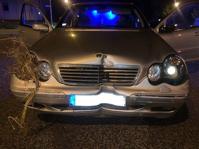 Polizeirevier Bördekreis: Aktuelle Polizeimeldungen