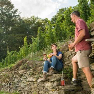 Der neue Lahnweinstieg vereint Wein, Geschichte und Natur