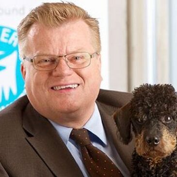 Tierschutzbund fordert: Hälfte der Einnahmen aus Hundesteuer an Tierheime