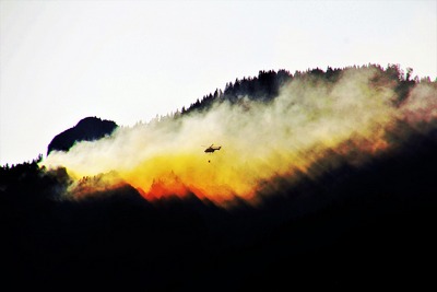 HÖCHSTE ALARMSTUFE IN PORTUGAL: Tausende Feuerwehrleute kämpfen gegen Waldbrände