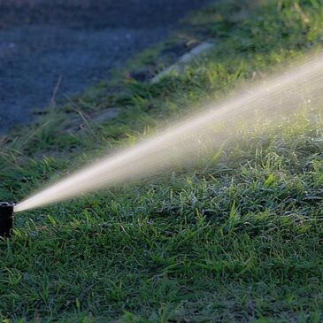 Wegen Trockenheit: Wasserentnahmeverbot für den Landkreis Börde wird vorbereitet